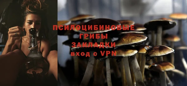 Альфа ПВП Каменногорск