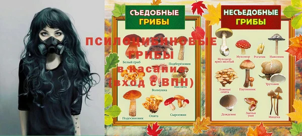 мескалин Касимов