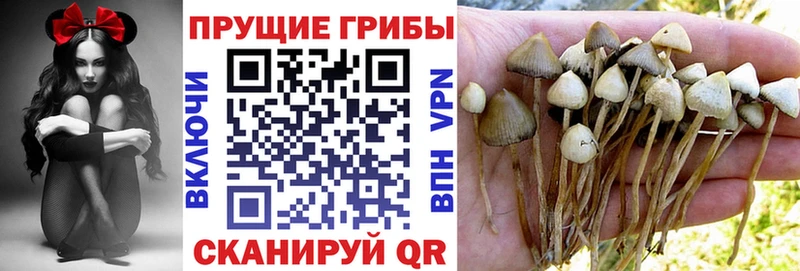 Галлюциногенные грибы Magic Shrooms  хочу   гидра ссылки  Ковдор 