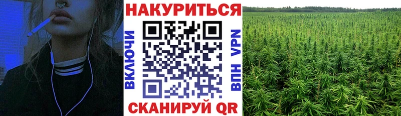 Конопля THC 21%  Ковдор 